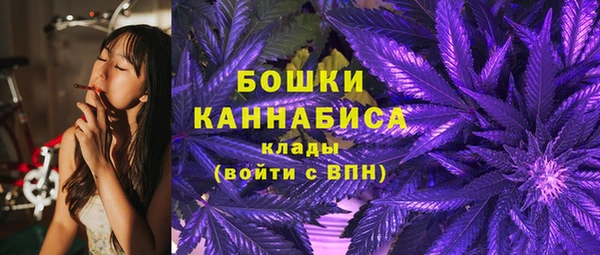 сатива Елизово
