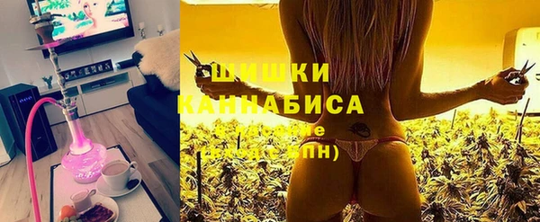стаф Елабуга