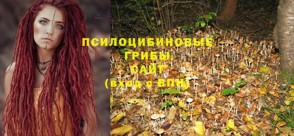 дживик Дмитровск