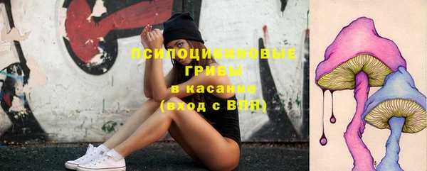дживик Дмитровск